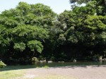 裾野中央公園の写真のサムネイル写真21