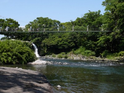 裾野中央公園の写真24