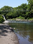 裾野中央公園の写真のサムネイル写真24