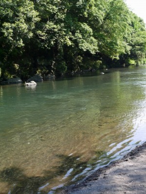 裾野中央公園の写真27