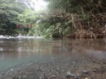 裾野中央公園の写真のサムネイル写真37