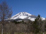 水ヶ塚公園の写真のサムネイル写真1