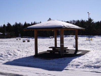 水ヶ塚公園の写真11