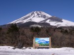 水ヶ塚公園の写真のサムネイル写真13