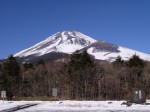 水ヶ塚公園の写真のサムネイル写真15