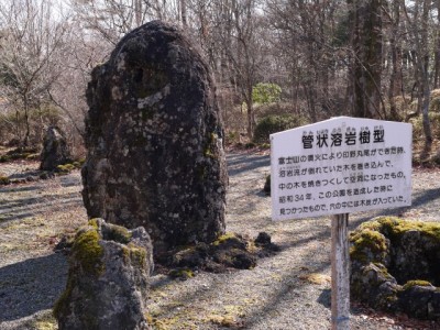 御胎内清宏園の写真18