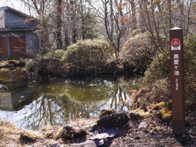 御胎内清宏園の写真34