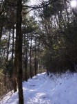 腰切塚展望台の写真のサムネイル写真5