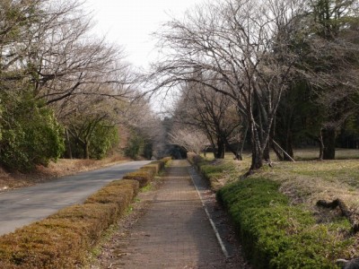 猪之頭公園の写真6