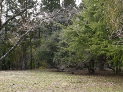 猪之頭公園の写真7