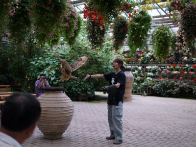 富士花鳥園の写真21