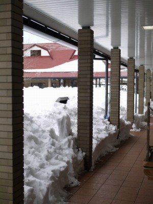 道の駅「朝霧高原」の写真8