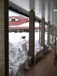 道の駅「朝霧高原」の写真のサムネイル写真7