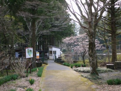 富士養鱒場の写真
