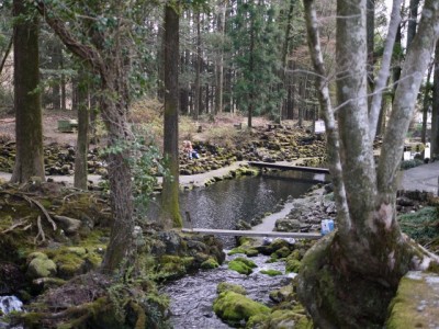 富士養鱒場の写真3