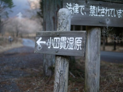 小田貫湿原の写真3
