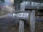 小田貫湿原の写真のサムネイル写真2
