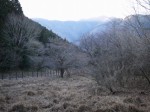 小田貫湿原の写真のサムネイル写真5