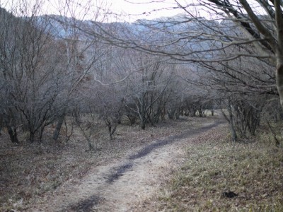 小田貫湿原の写真11