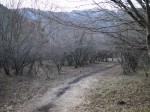 小田貫湿原の写真のサムネイル写真10