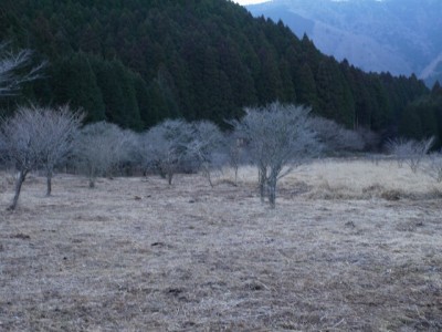 小田貫湿原の写真15