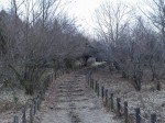 小田貫湿原の写真のサムネイル写真16