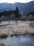 小田貫湿原の写真のサムネイル写真19