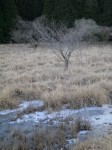 小田貫湿原の写真のサムネイル写真20