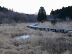 小田貫湿原の写真のサムネイル写真21