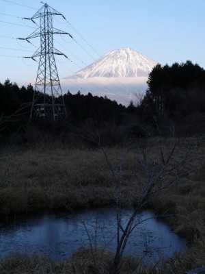 小田貫湿原の写真23