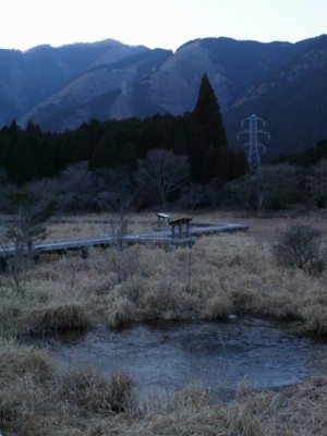 小田貫湿原の写真24
