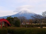 もちや遊園地の写真のサムネイル写真2