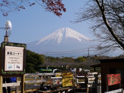 まかいの牧場の写真9