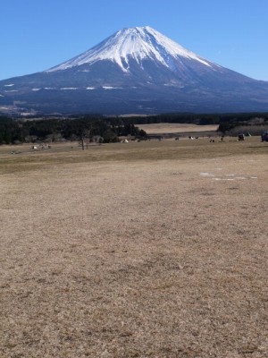 ふもとっぱらの写真3