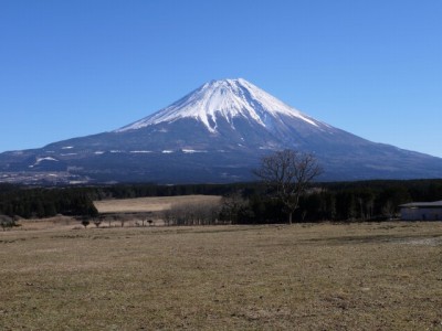 ふもとっぱらの写真6