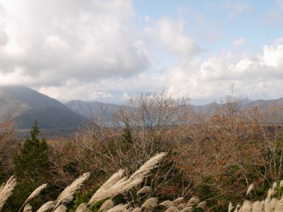 静岡県・山梨県道71号線沿いの写真8