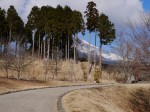 富士山こどもの国の写真のサムネイル写真14