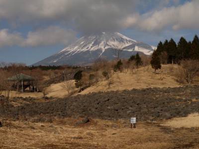 富士山こどもの国の写真19