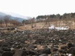 富士山こどもの国の写真のサムネイル写真21