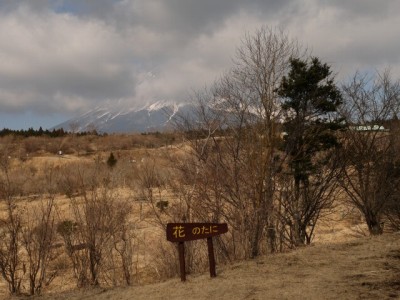 富士山こどもの国の写真24