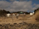 富士山こどもの国の写真のサムネイル写真28