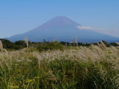 朝霧高原 国道139号沿いの写真