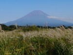 朝霧高原 国道139号沿いの写真のサムネイル写真1