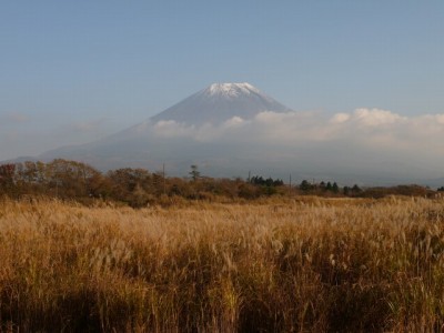 朝霧高原 国道139号沿いの写真3