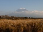 朝霧高原 国道139号沿いの写真のサムネイル写真2