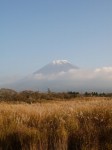 朝霧高原 国道139号沿いの写真のサムネイル写真3