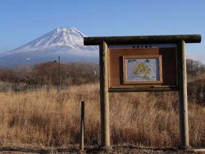 朝霧高原 国道139号沿いの写真6