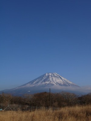 朝霧高原 国道139号沿いの写真8