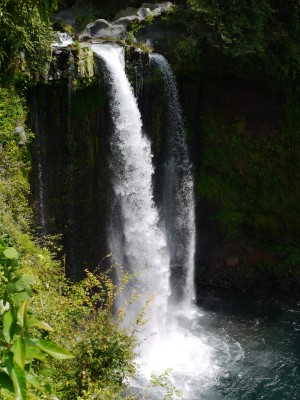 音止滝の写真