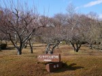 岩本山公園の写真のサムネイル写真8